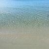 kaitmartt